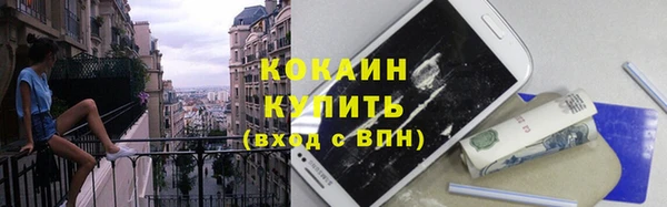 твердый Козельск