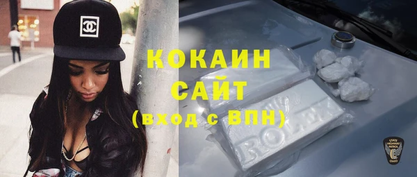 твердый Козельск