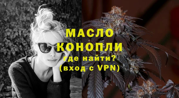 твердый Козельск