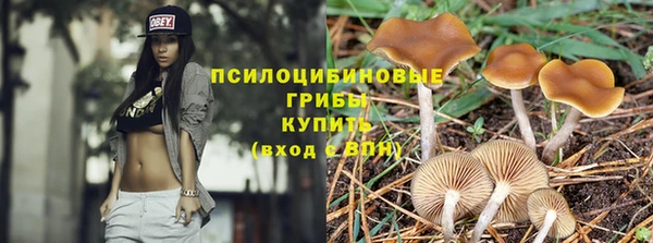 метадон Козловка