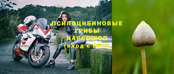 твердый Козельск