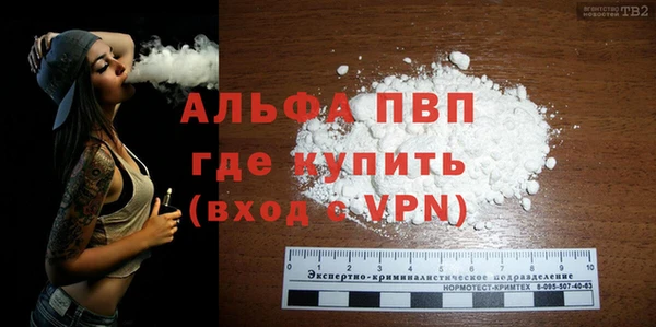 твердый Козельск