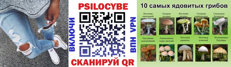 Галлюциногенные грибы ЛСД  Купить закладки  Стерлитамак 